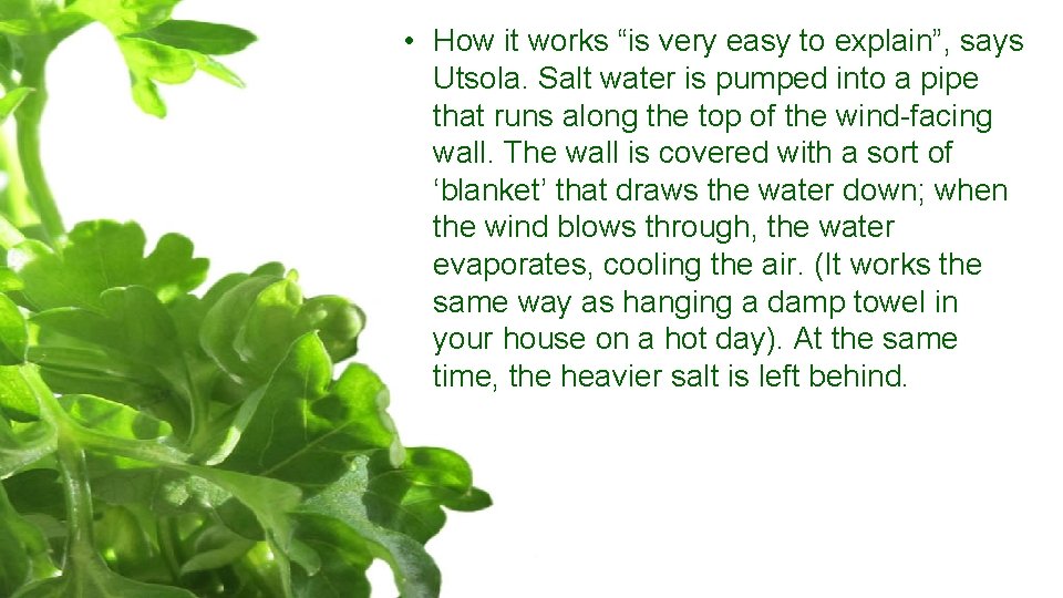  • How it works “is very easy to explain”, says Utsola. Salt water