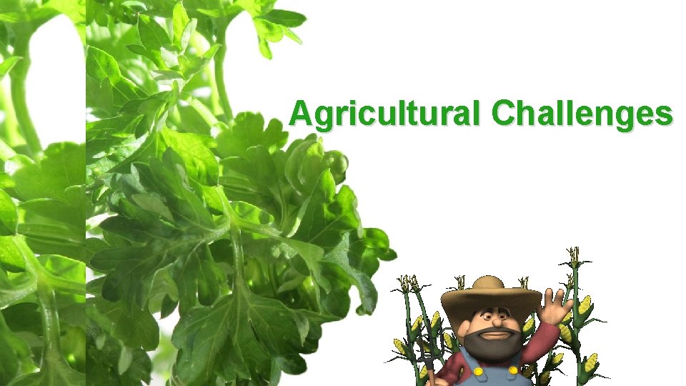 Agricultural Challenges 