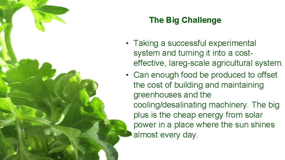 The Big Challenge • Taking a successful experimental system and turning it into a