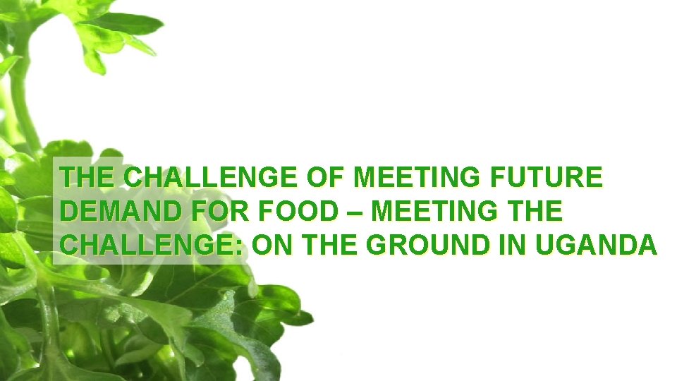 THE CHALLENGE OF MEETING FUTURE DEMAND FOR FOOD – MEETING THE CHALLENGE: ON THE