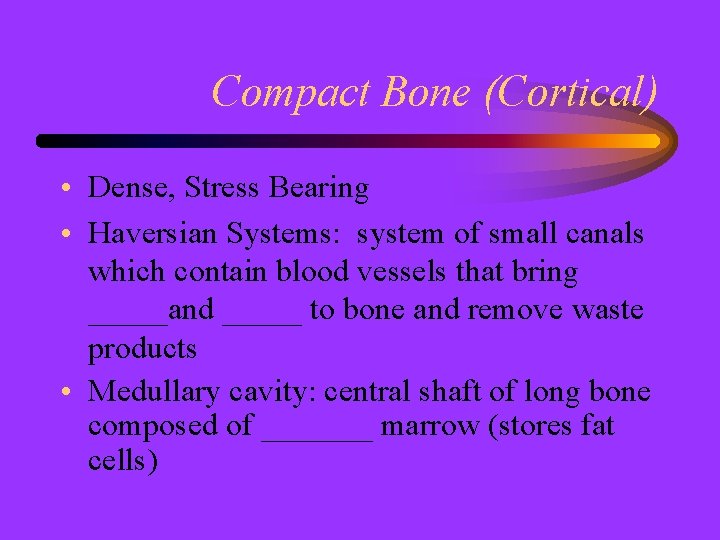 Compact Bone (Cortical) • Dense, Stress Bearing • Haversian Systems: system of small canals