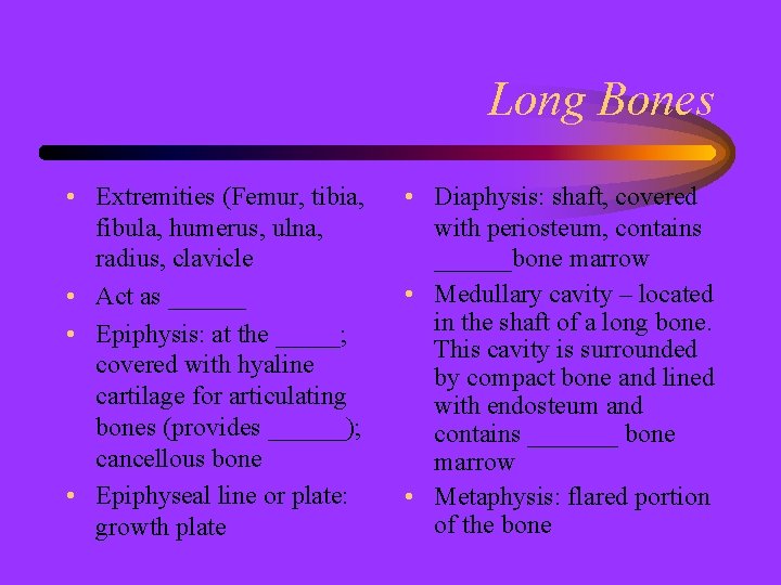 Long Bones • Extremities (Femur, tibia, fibula, humerus, ulna, radius, clavicle • Act as