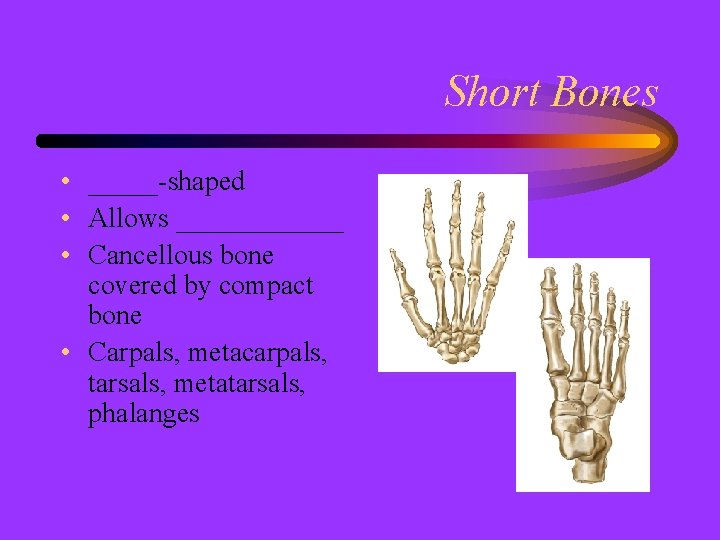 Short Bones • _____-shaped • Allows ______ • Cancellous bone covered by compact bone