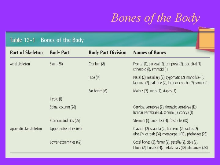 Bones of the Body 