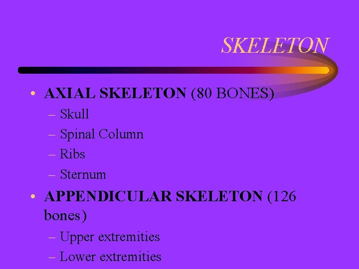 SKELETON • AXIAL SKELETON (80 BONES) – Skull – Spinal Column – Ribs –