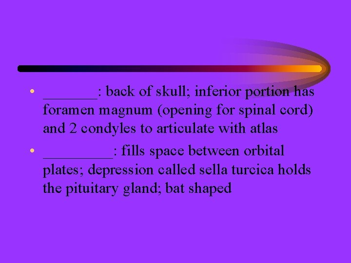  • _______: back of skull; inferior portion has foramen magnum (opening for spinal