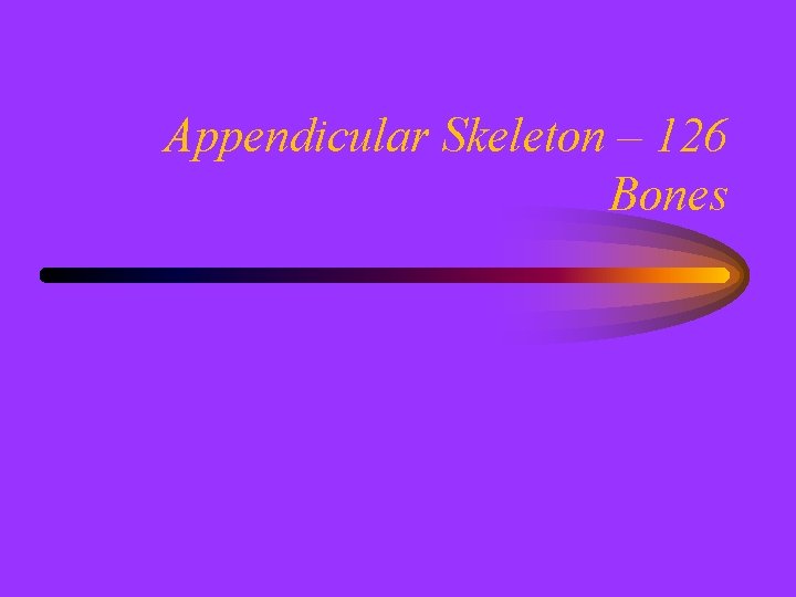 Appendicular Skeleton – 126 Bones 