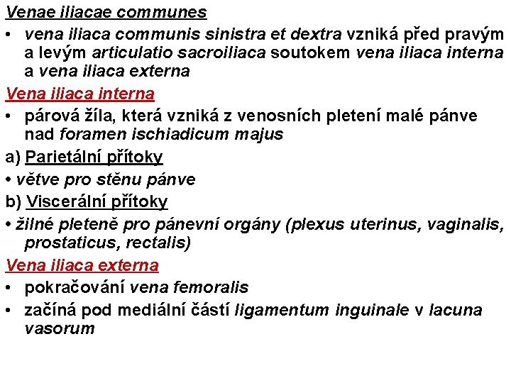 Venae iliacae communes • vena iliaca communis sinistra et dextra vzniká před pravým a