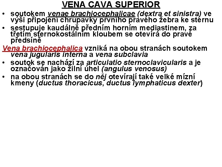 VENA CAVA SUPERIOR • soutokem venae brachiocephalicae (dextra et sinistra) ve výši připojení chrupavky