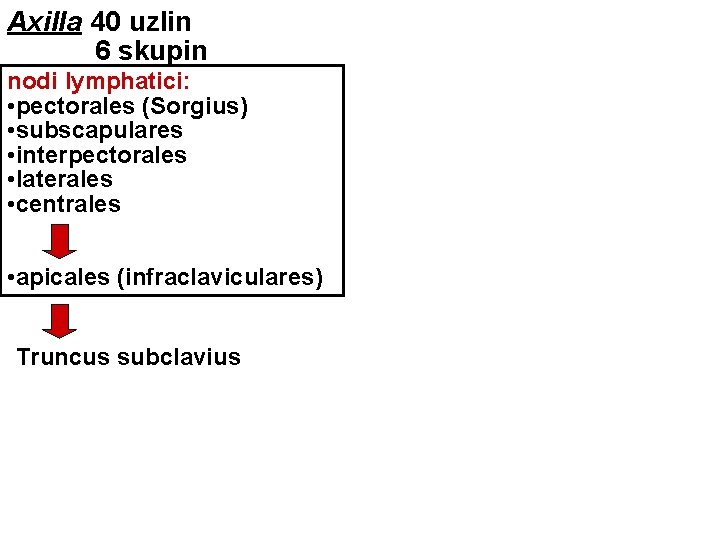 Axilla 40 uzlin 6 skupin nodi lymphatici: • pectorales (Sorgius) • subscapulares • interpectorales