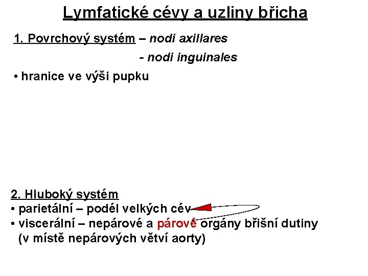 Lymfatické cévy a uzliny břicha 1. Povrchový systém – nodi axillares - nodi inguinales