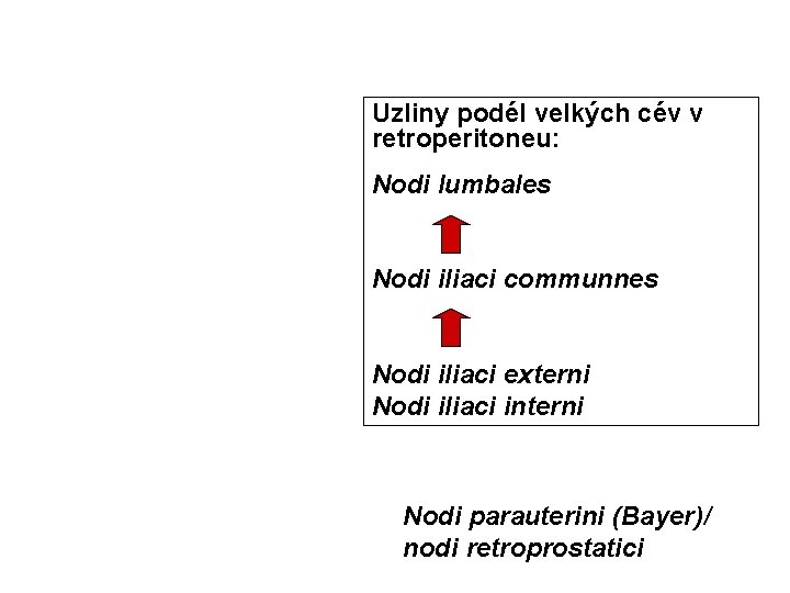 Uzliny podél velkých cév v retroperitoneu: Nodi lumbales Nodi iliaci communnes Nodi iliaci externi