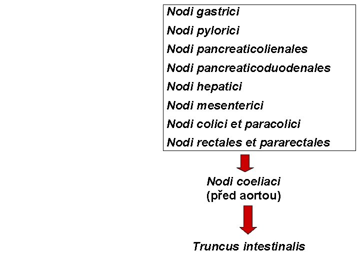 Nodi gastrici Nodi pylorici Nodi pancreaticolienales Nodi pancreaticoduodenales Nodi hepatici Nodi mesenterici Nodi colici