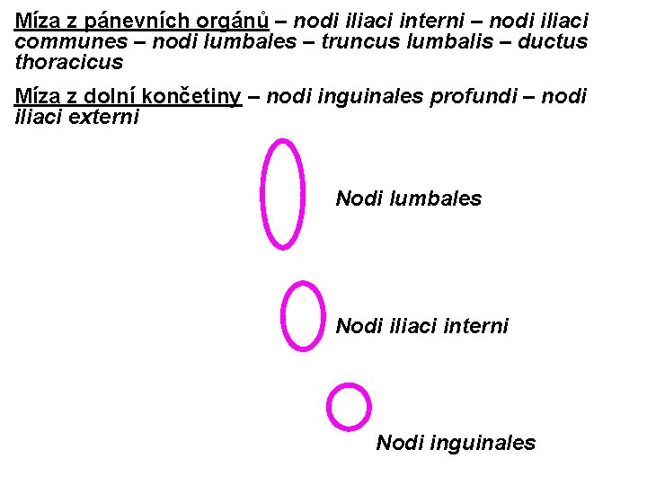 Míza z pánevních orgánů – nodi iliaci interni – nodi iliaci communes – nodi