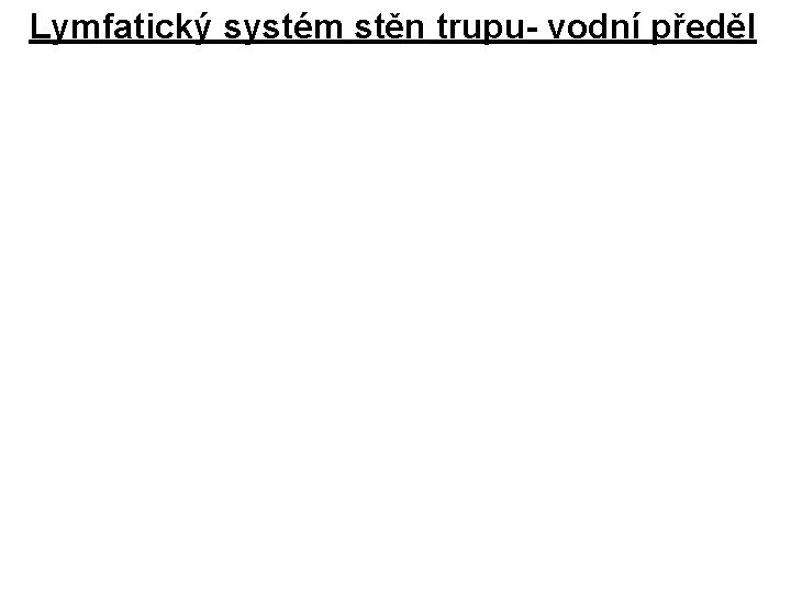 Lymfatický systém stěn trupu- vodní předěl 