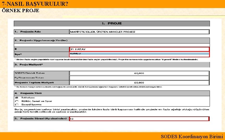 7 -NASIL BAŞVURULUR? ÖRNEK PROJE SODES Koordinasyon Birimi 