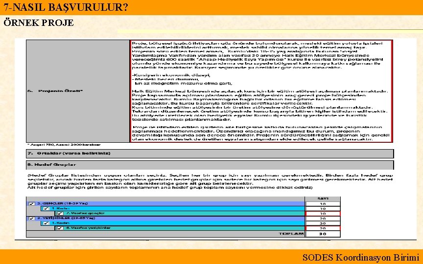 7 -NASIL BAŞVURULUR? ÖRNEK PROJE SODES Koordinasyon Birimi 