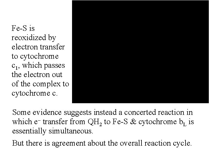 Fe-S is reoxidized by electron transfer to cytochrome c 1, which passes the electron