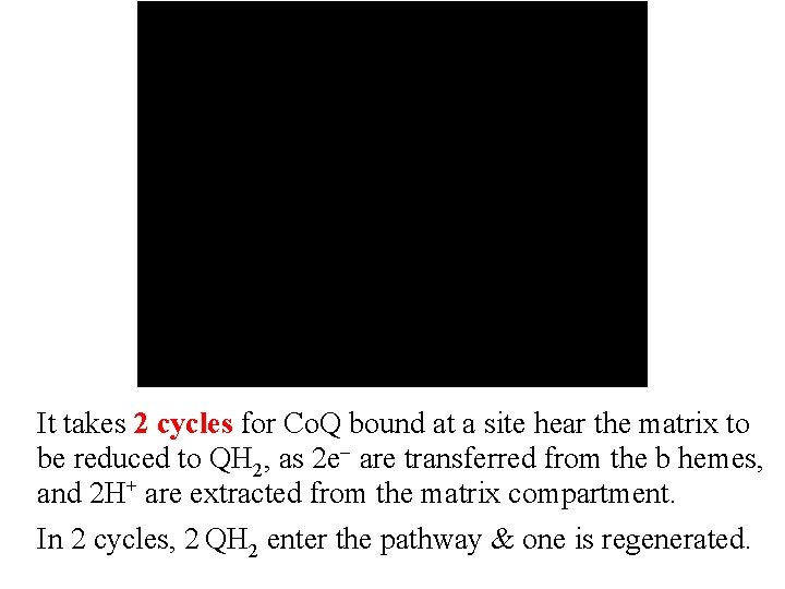  It takes 2 cycles for Co. Q bound at a site hear the