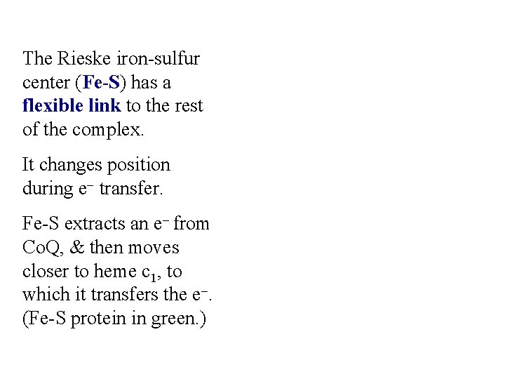 The Rieske iron-sulfur center (Fe-S) has a flexible link to the rest of the