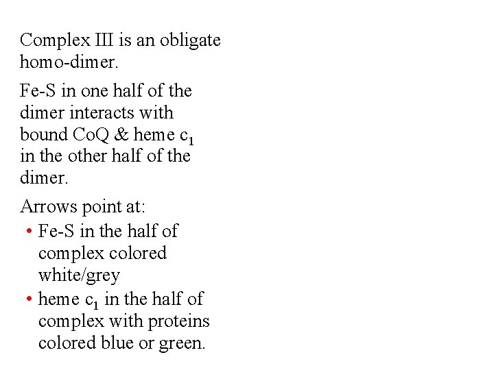 Complex III is an obligate homo-dimer. Fe-S in one half of the dimer interacts