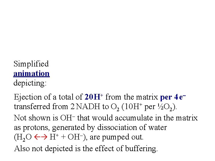 Simplified animation depicting: Ejection of a total of 20 H+ from the matrix per