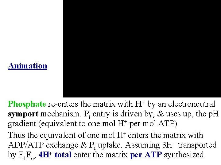 Animation Phosphate re-enters the matrix with H+ by an electroneutral symport mechanism. Pi entry