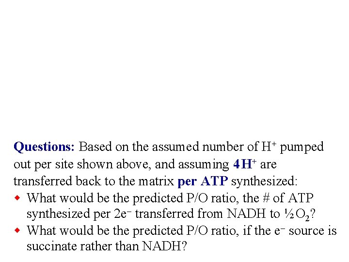 Questions: Based on the assumed number of H+ pumped out per site shown above,