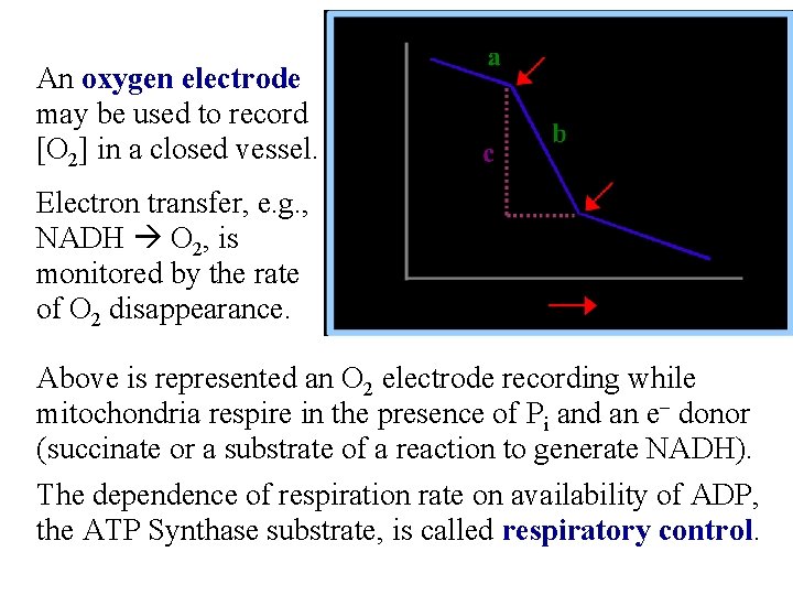 An oxygen electrode may be used to record [O 2] in a closed vessel.