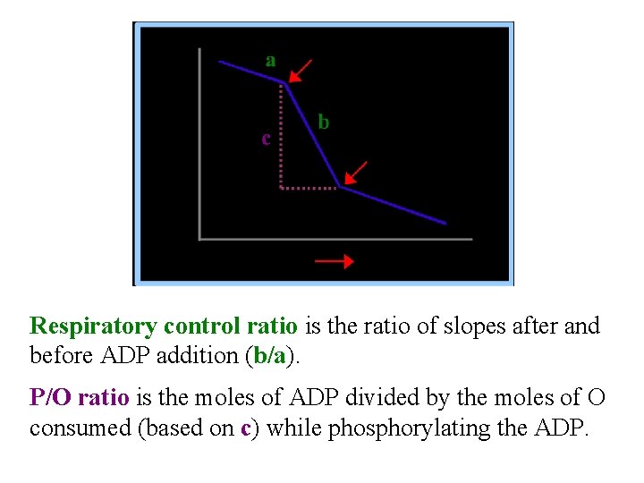 Respiratory control ratio is the ratio of slopes after and before ADP addition (b/a).