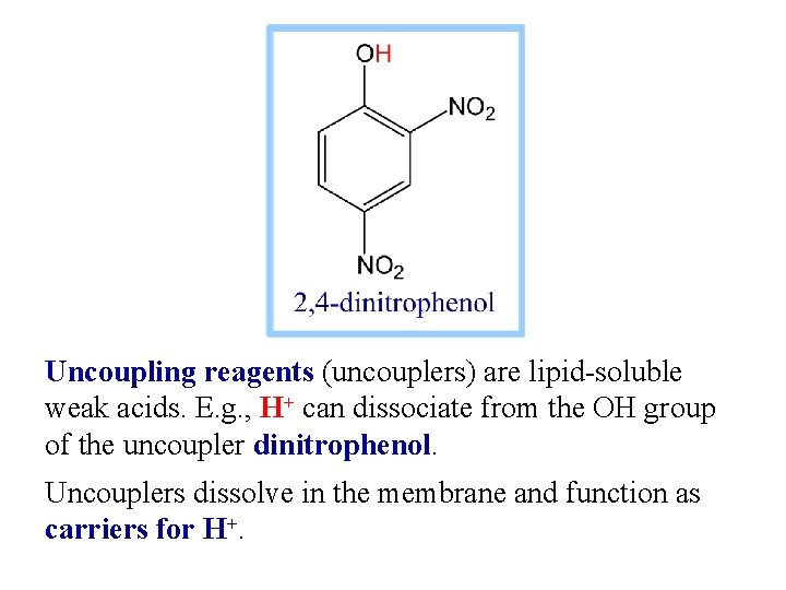 Uncoupling reagents (uncouplers) are lipid-soluble weak acids. E. g. , H+ can dissociate from