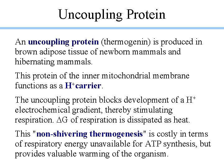 Uncoupling Protein An uncoupling protein (thermogenin) is produced in brown adipose tissue of newborn