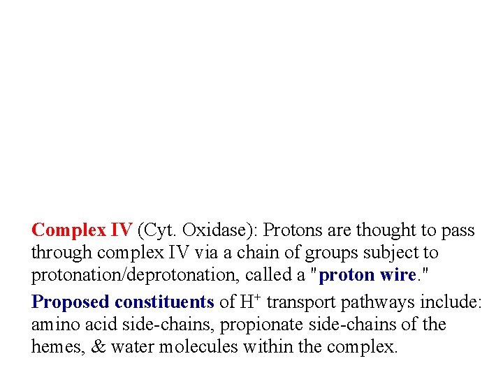 Complex IV (Cyt. Oxidase): Protons are thought to pass through complex IV via a