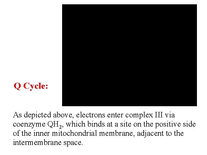 Q Cycle: As depicted above, electrons enter complex III via coenzyme QH 2, which