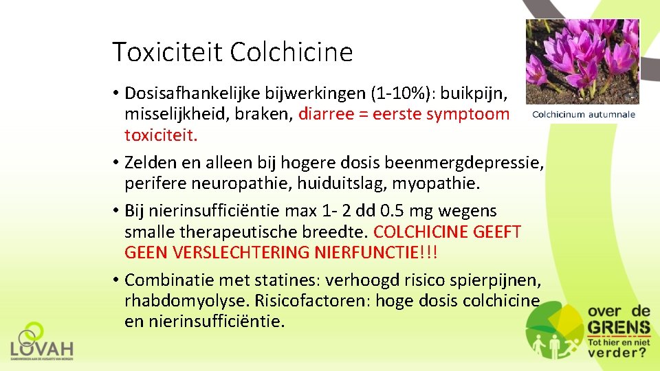 Toxiciteit Colchicine • Dosisafhankelijke bijwerkingen (1 -10%): buikpijn, misselijkheid, braken, diarree = eerste symptoom