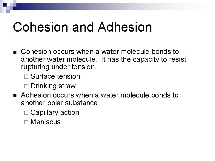 Cohesion and Adhesion n n Cohesion occurs when a water molecule bonds to another