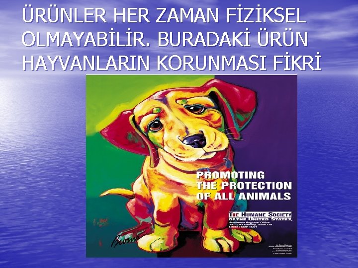 ÜRÜNLER HER ZAMAN FİZİKSEL OLMAYABİLİR. BURADAKİ ÜRÜN HAYVANLARIN KORUNMASI FİKRİ 