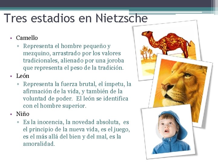 Tres estadios en Nietzsche • Camello ▫ Representa el hombre pequeño y mezquino, arrastrado