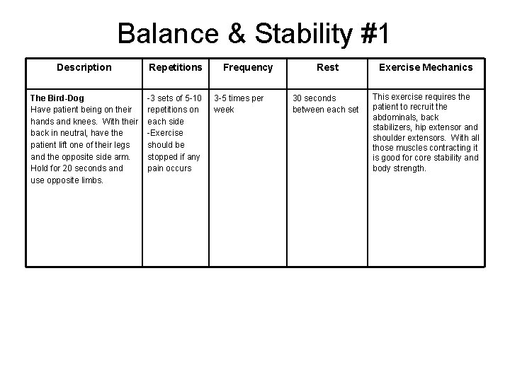 Balance & Stability #1 Description Repetitions The Bird-Dog Have patient being on their hands