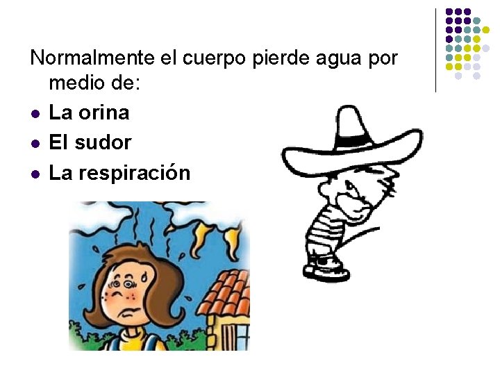 Normalmente el cuerpo pierde agua por medio de: l La orina l El sudor