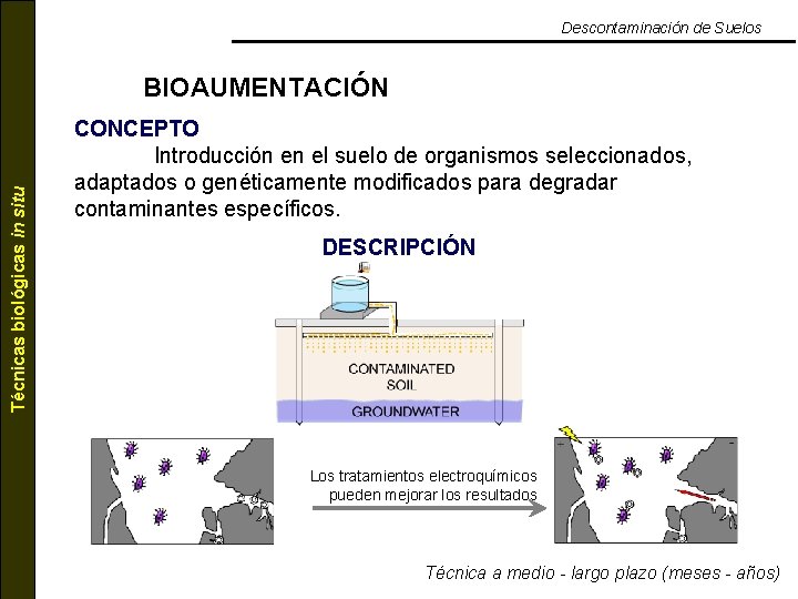 Descontaminación de Suelos Técnicas biológicas in situ BIOAUMENTACIÓN CONCEPTO Introducción en el suelo de