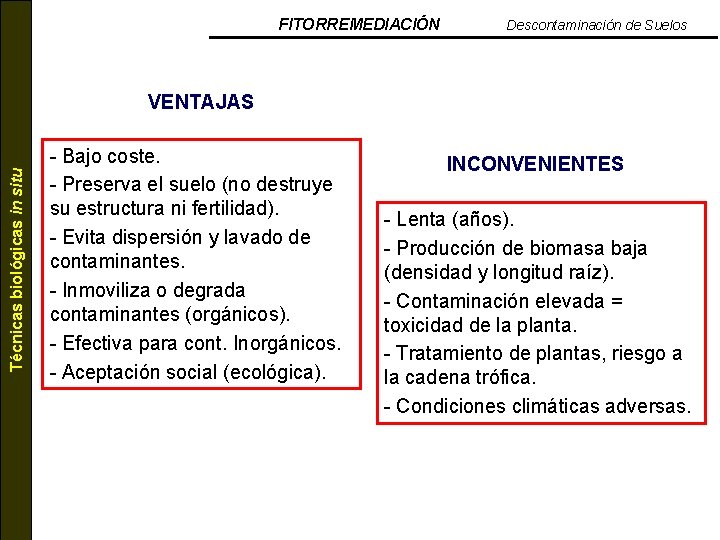 FITORREMEDIACIÓN Descontaminación de Suelos Técnicas biológicas in situ VENTAJAS - Bajo coste. - Preserva