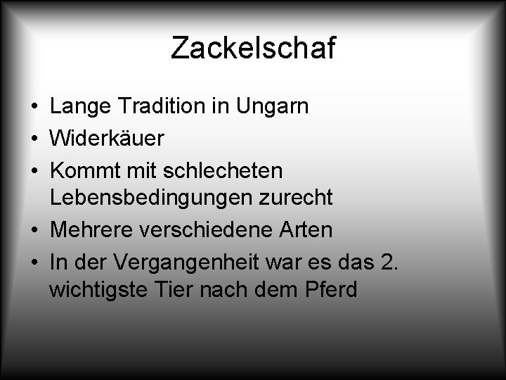 Zackelschaf • Lange Tradition in Ungarn • Widerkäuer • Kommt mit schlecheten Lebensbedingungen zurecht