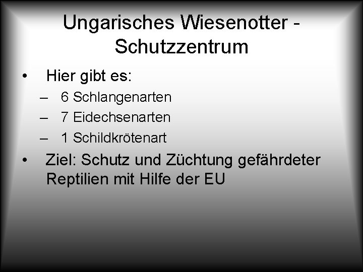Ungarisches Wiesenotter Schutzzentrum • Hier gibt es: – 6 Schlangenarten – 7 Eidechsenarten –