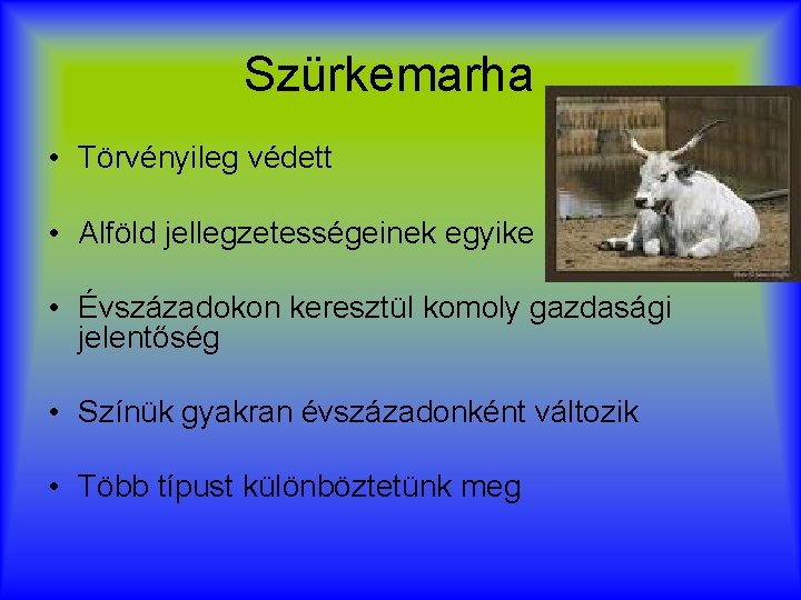 Szürkemarha • Törvényileg védett • Alföld jellegzetességeinek egyike • Évszázadokon keresztül komoly gazdasági jelentőség