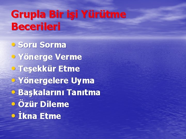 Grupla Bir işi Yürütme Becerileri • Soru Sorma • Yönerge Verme • Teşekkür Etme