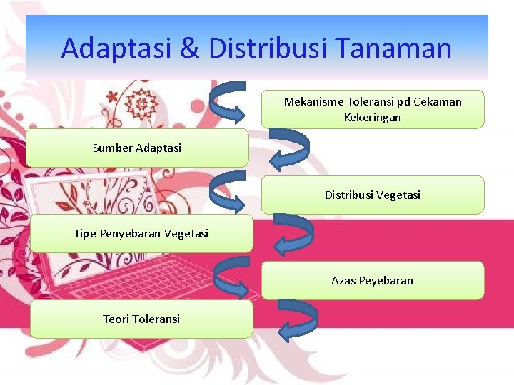 Adaptasi & Distribusi Tanaman Mekanisme Toleransi pd Cekaman Kekeringan Sumber Adaptasi Distribusi Vegetasi Tipe