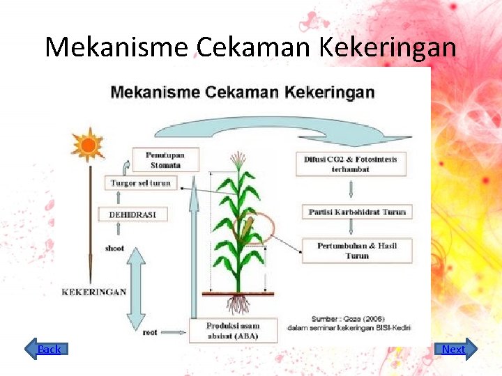 Mekanisme Cekaman Kekeringan Back Next 