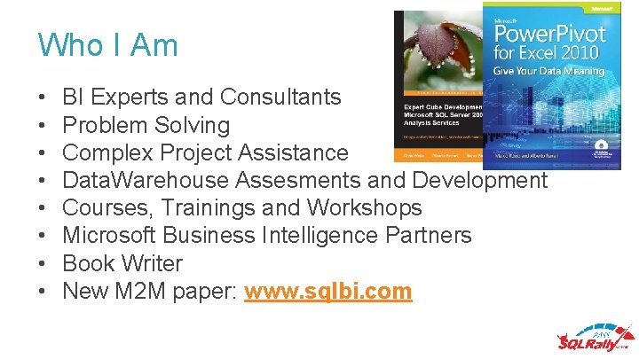 Who I Am • • BI Experts and Consultants Problem Solving Complex Project Assistance