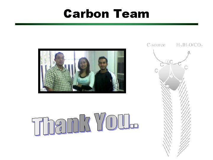 Carbon Team 